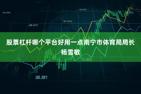 股票杠杆哪个平台好用一点南宁市体育局局长杨雪敏