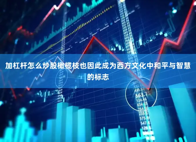 加杠杆怎么炒股橄榄枝也因此成为西方文化中和平与智慧的标志